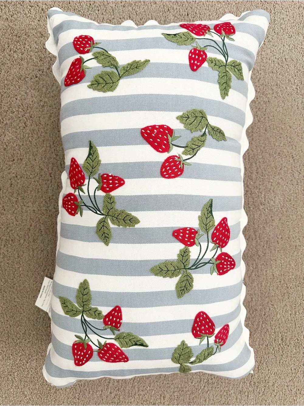 Set of 2 Strawberry Embroidered Blue & White Stripes Indoor/Outdoor Throw Pillow